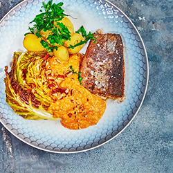 Billede af Pescetar Måltidskassen fra Skagenfood